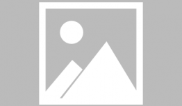 娱乐圈吃瓜爆料小凤凰,小凤凰揭秘吃瓜爆料背后的真相