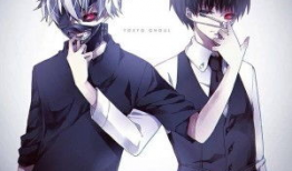 动漫迷,穿越二次元，探寻梦想的彼岸